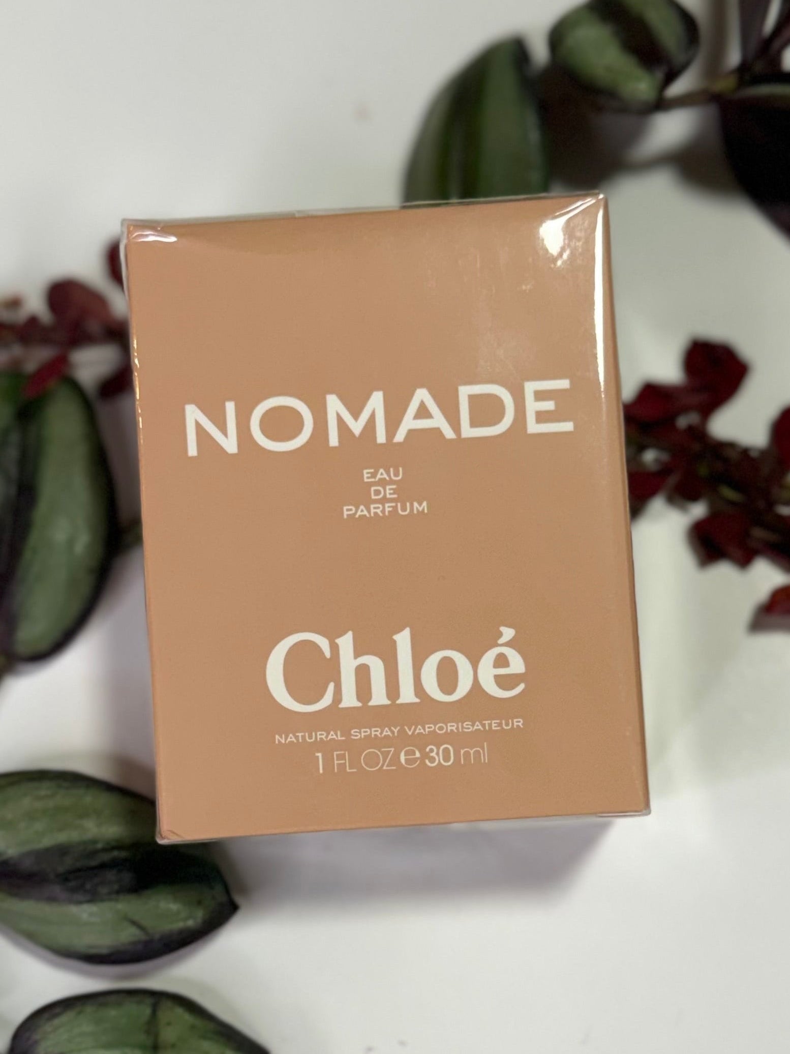 Chloé Nomade