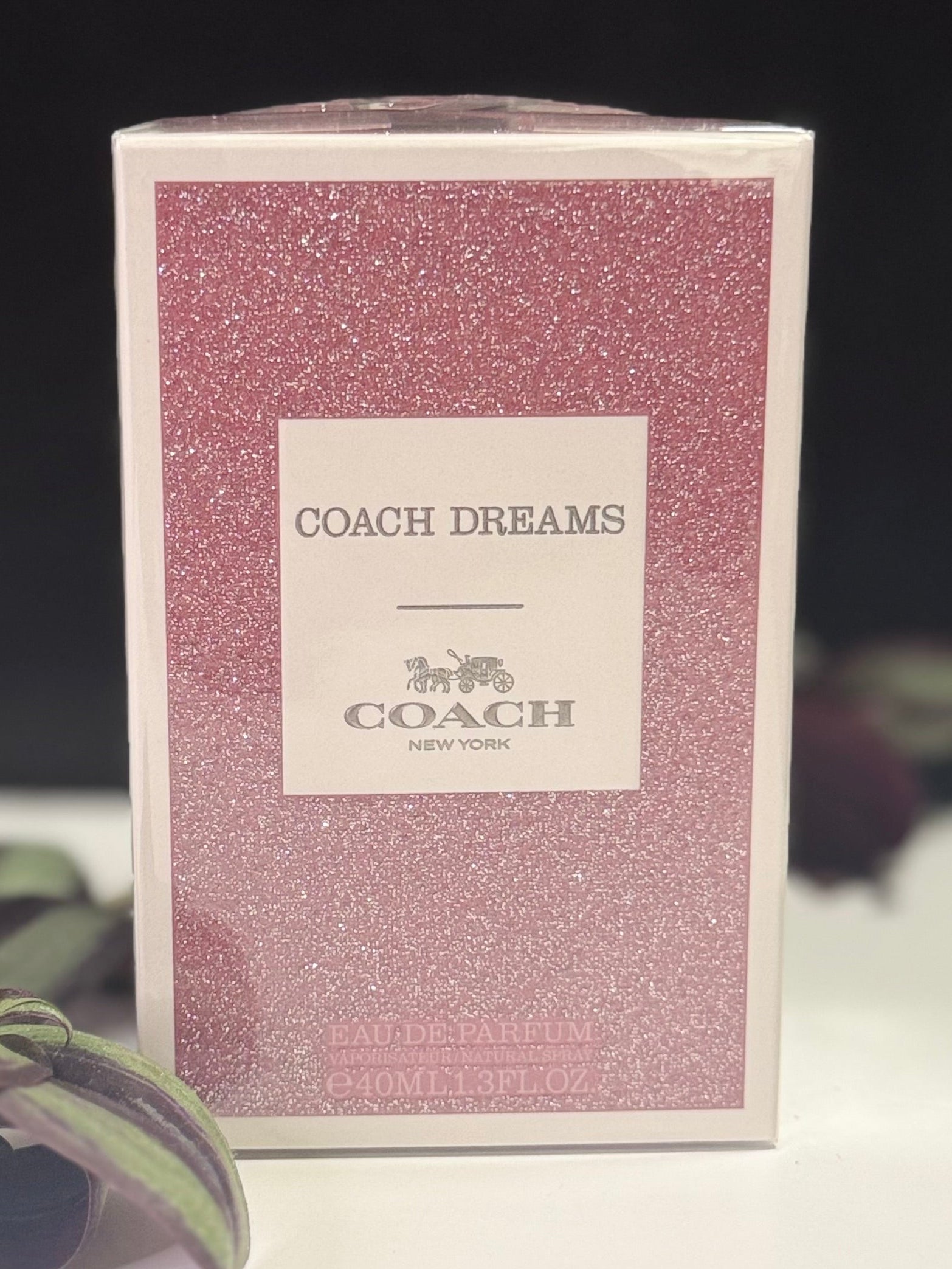 Coach Dreams